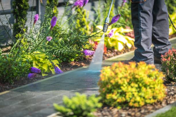 Best Dumpster Area Cleaning  in Cotter, AR