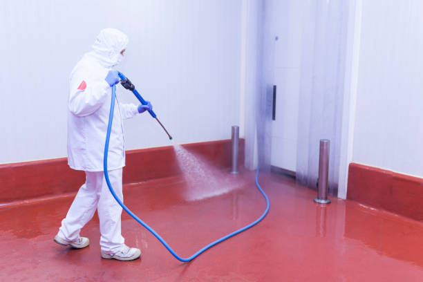 Playground Equipment Cleaning in Cotter, AR
